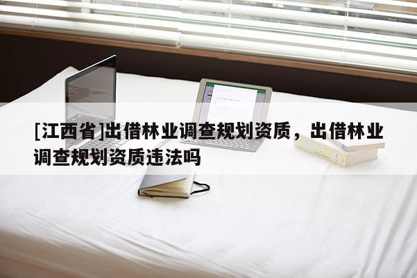 [江西省]出借林业调查规划资质，出借林业调查规划资质违法吗