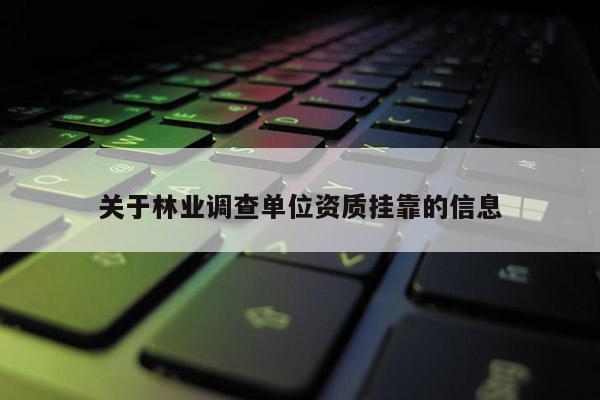 关于林业调查单位资质挂靠的信息