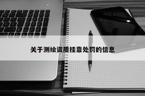 关于测绘资质挂靠处罚的信息