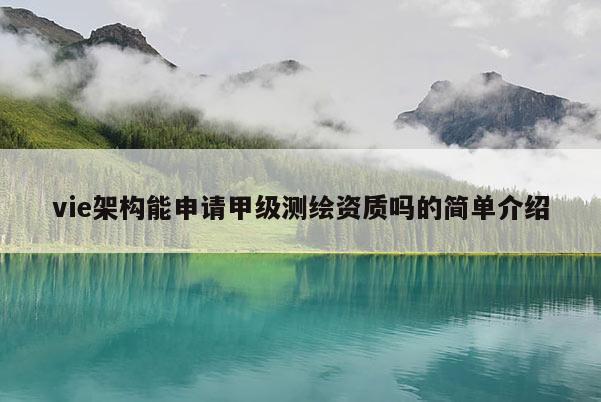 vie架构能申请甲级测绘资质吗的简单介绍
