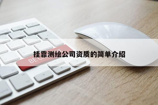 挂靠测绘公司资质的简单介绍