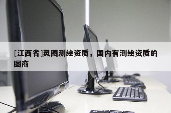 [江西省]灵图测绘资质，国内有测绘资质的图商