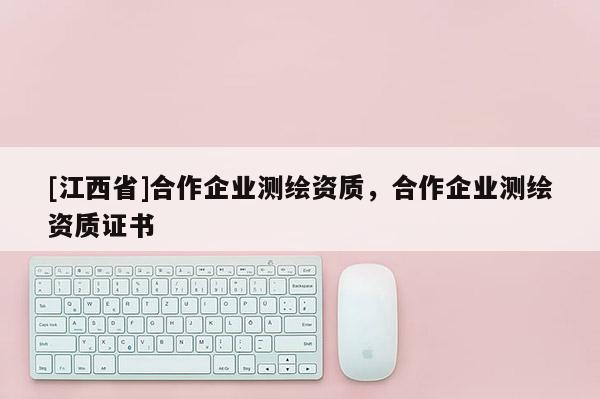 [江西省]合作企业测绘资质，合作企业测绘资质证书