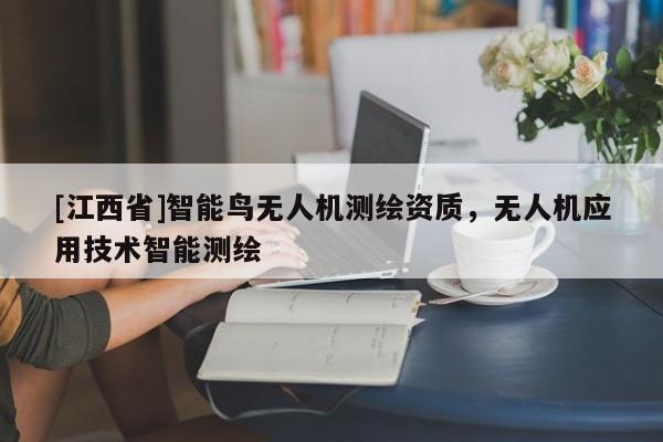 [江西省]智能鸟无人机测绘资质，无人机应用技术智能测绘